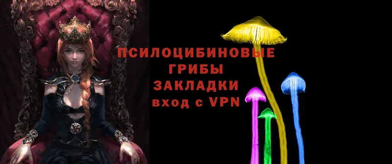 Галлюциногенные грибы Psilocybe  сколько стоит  Мегион 